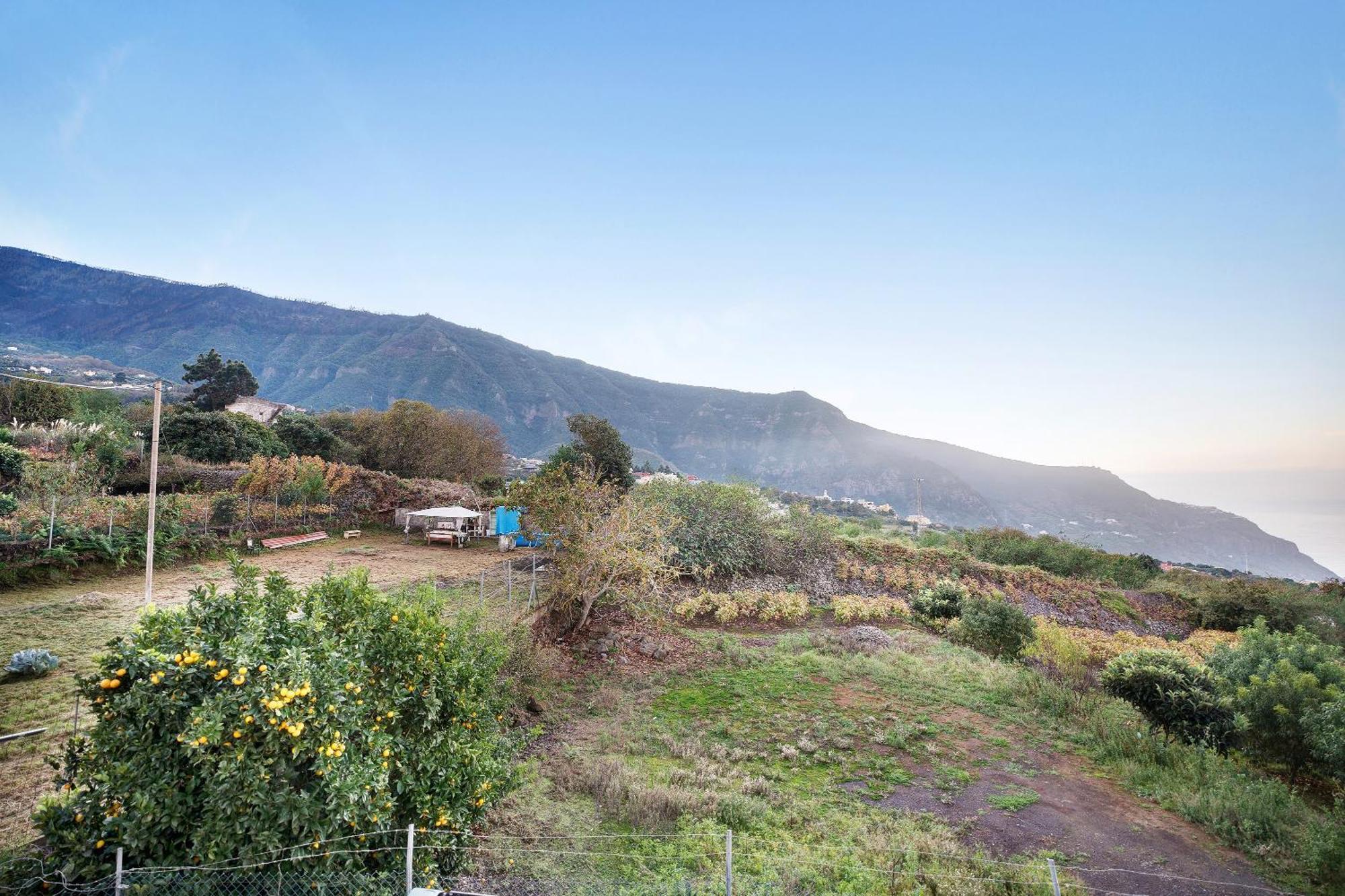 Casita Rural La Pinera Los Realejos Exterior foto